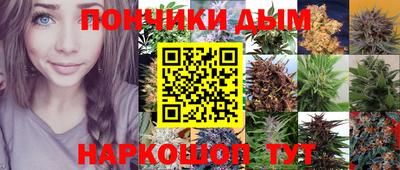 скорость Будённовск