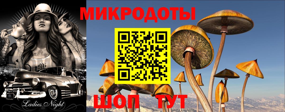Топки  Галлюциногенные грибы ЛСД  Галлюциногенные грибы MAGIC MUSHROOMS  Вход с VPN 