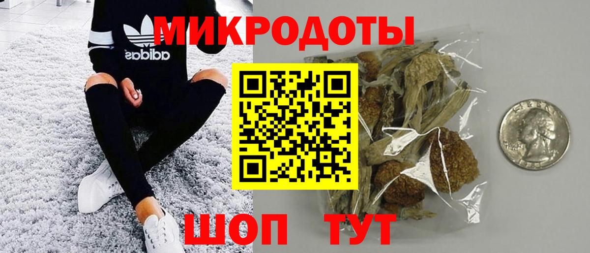 Галлюциногенные грибы Psilocybe Топки